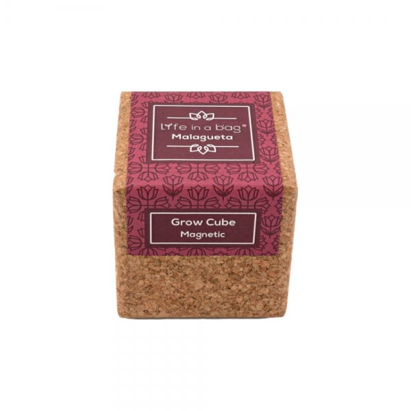 LIFE IN A BAG Grow Cube - Malagueta