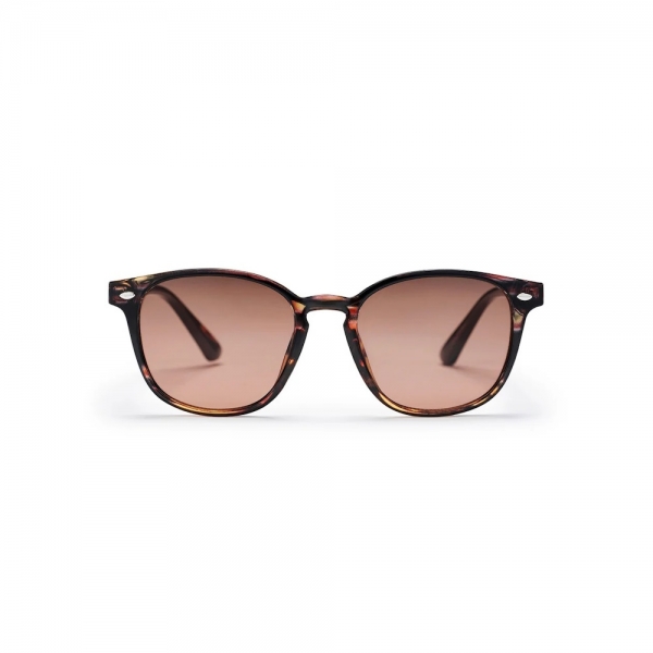 CHPO Alva Sunglasses - Turtle Brown