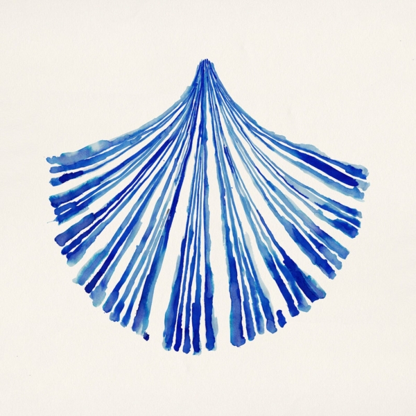 ANA FROIS Illustration - Blue Shell