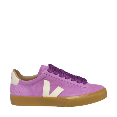 VEJA  Campo Suede -...