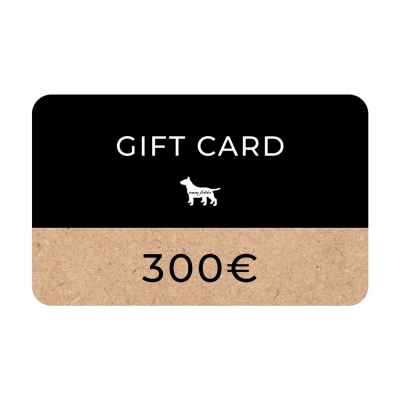 GIFT CARD - 300€