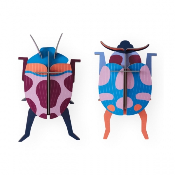 STUDIO ROOF Coccinelle Couple