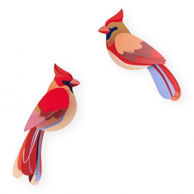 STUDIO ROOF Cardinals