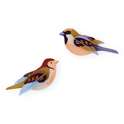 STUDIO ROOF Sparrows