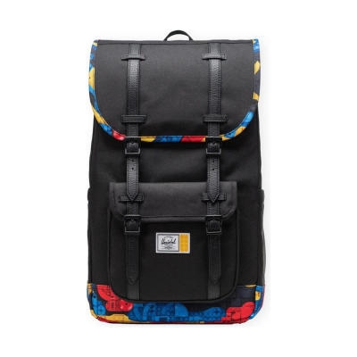 HERSCHEL Little America...