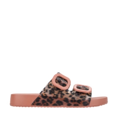 IGOR Habana Brillo Leo -...