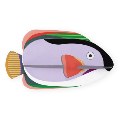 STUDIO ROOF King Angelfish