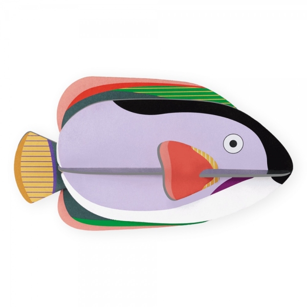 STUDIO ROOF King Angelfish