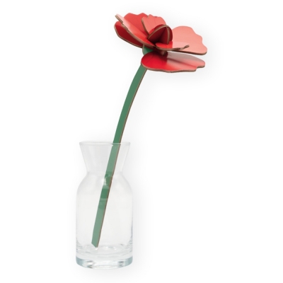 STUDIO ROOF Red Rose