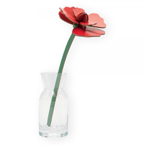 STUDIO ROOF Red Rose
