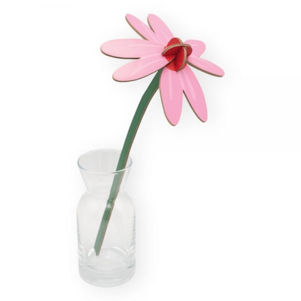 STUDIO ROOF Pink Coneflower
