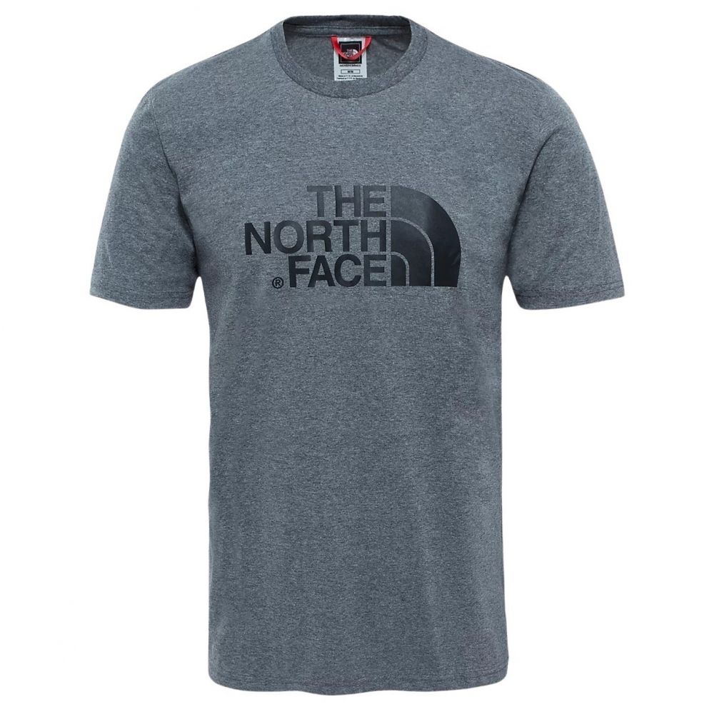 grey north face t shirt